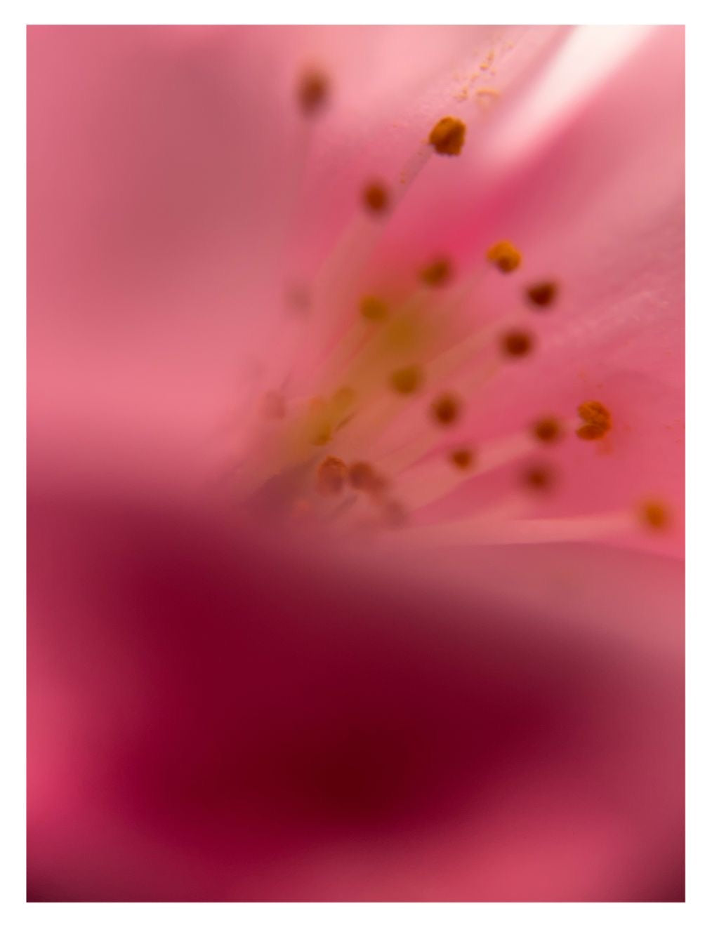 Organic Scapes 1