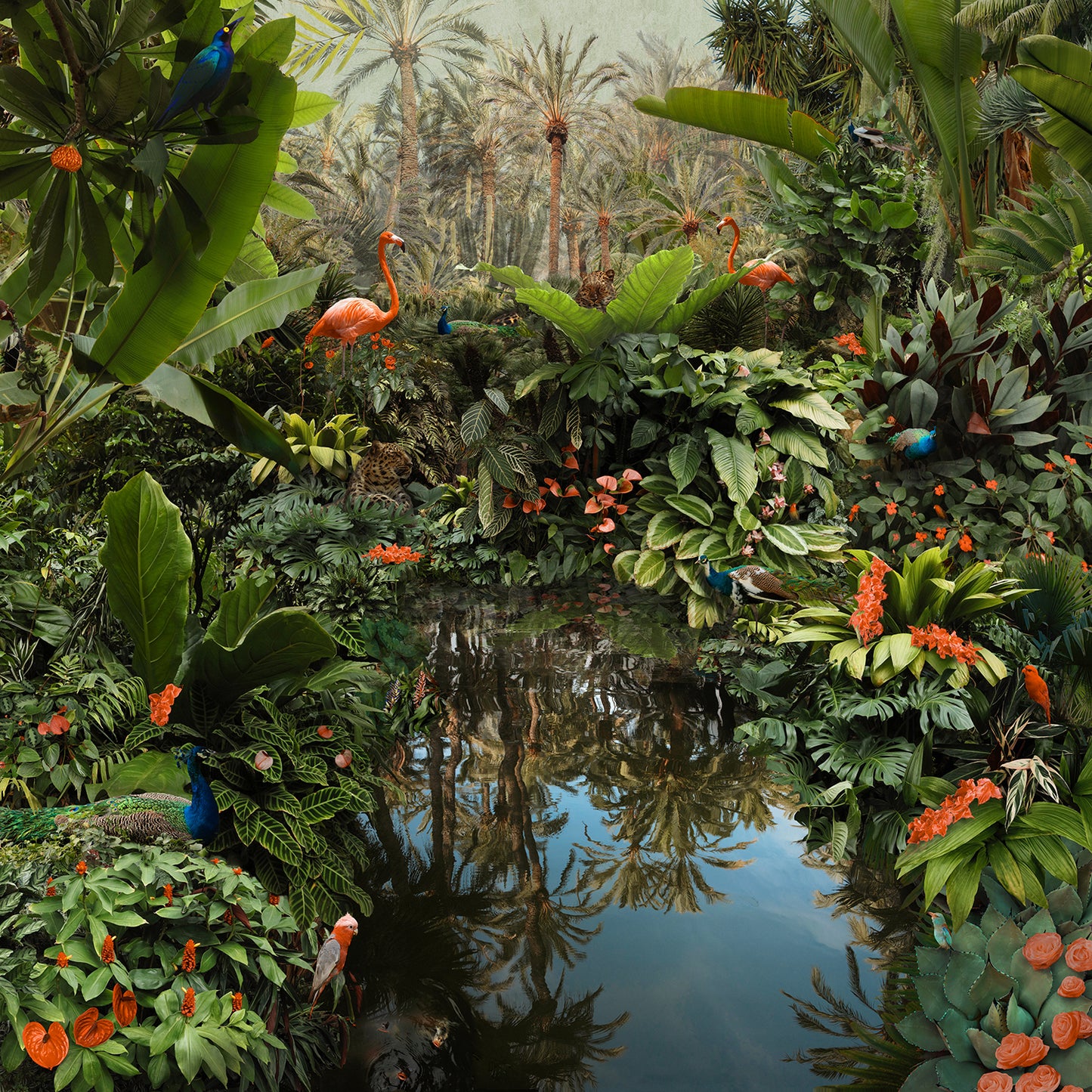 Backwaters Oasis