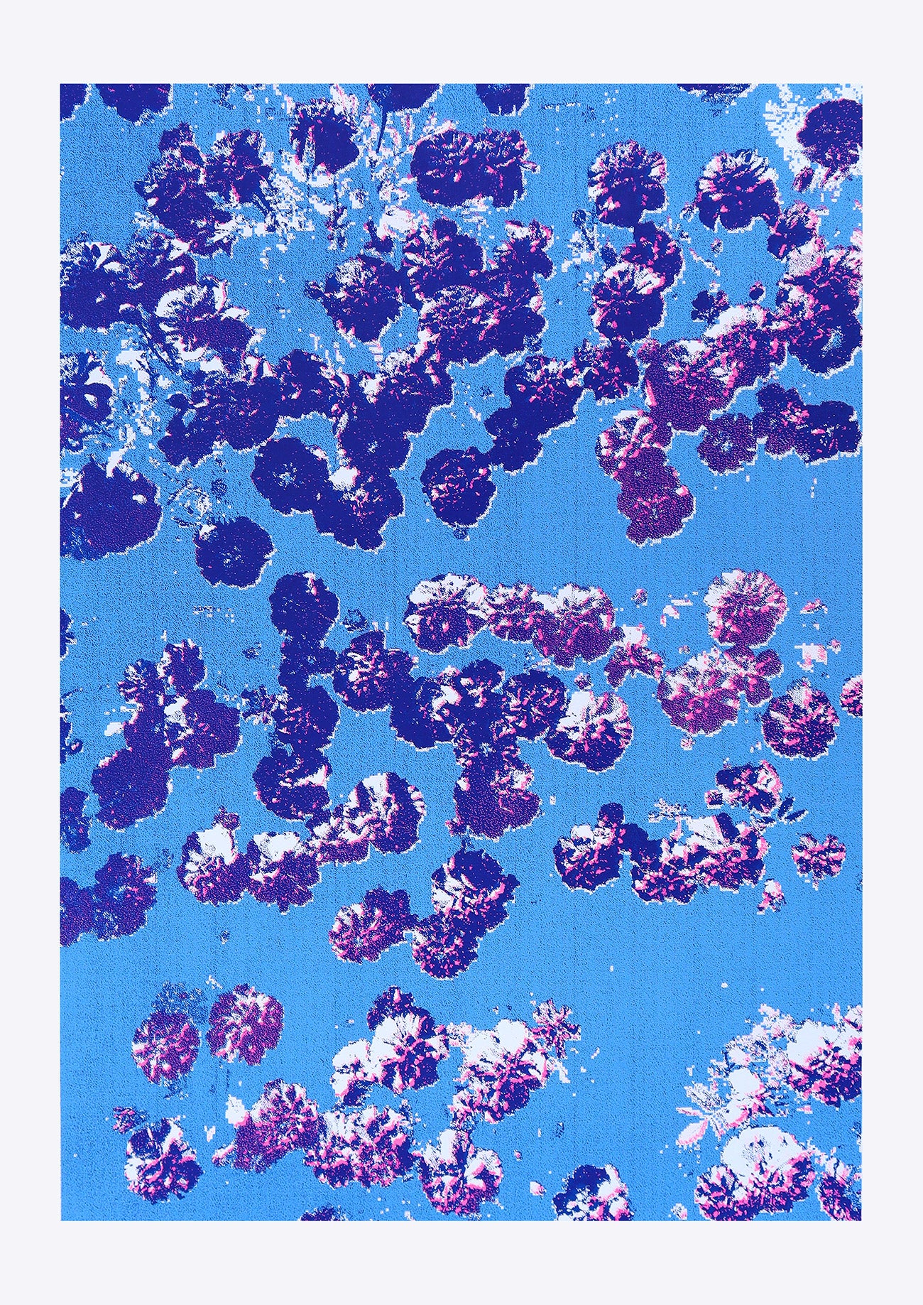 Confetti