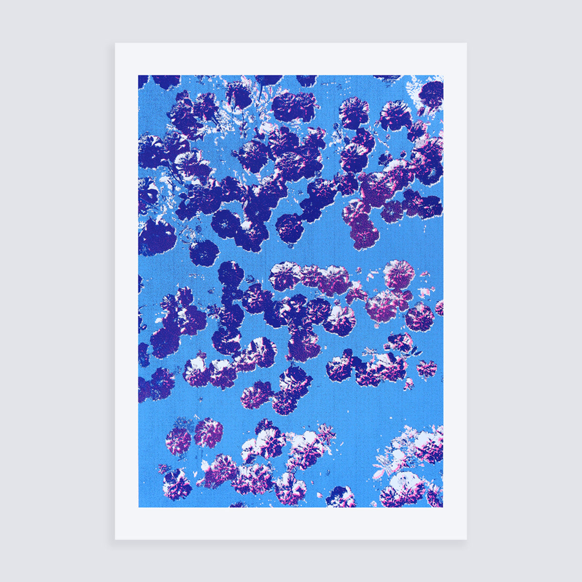 Confetti
