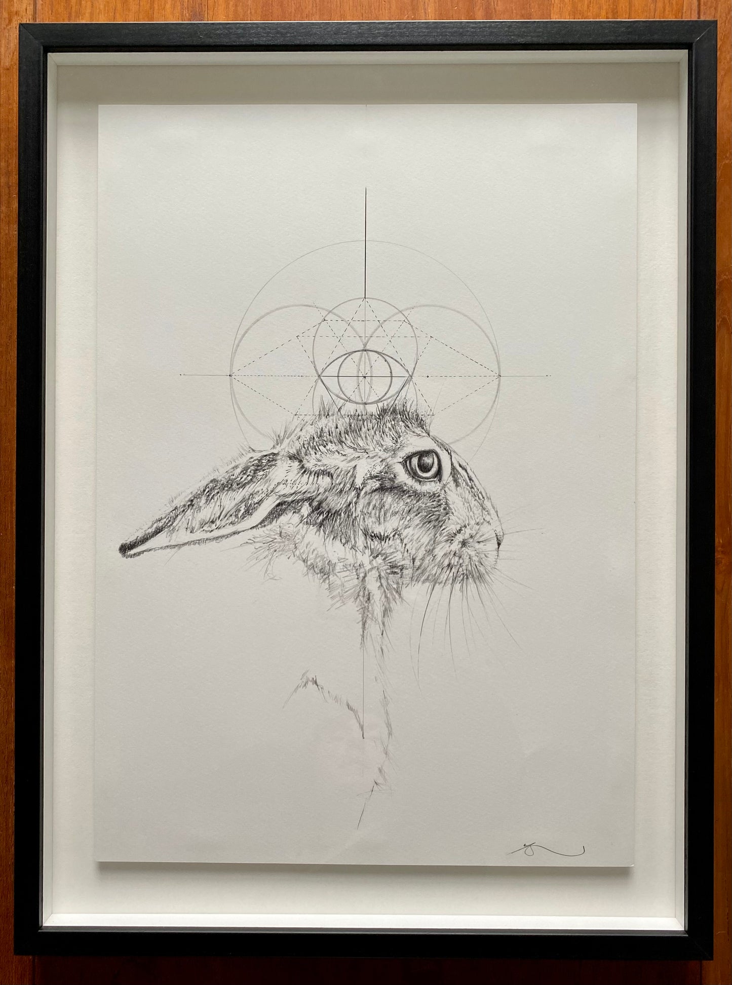Eye Of The Hare