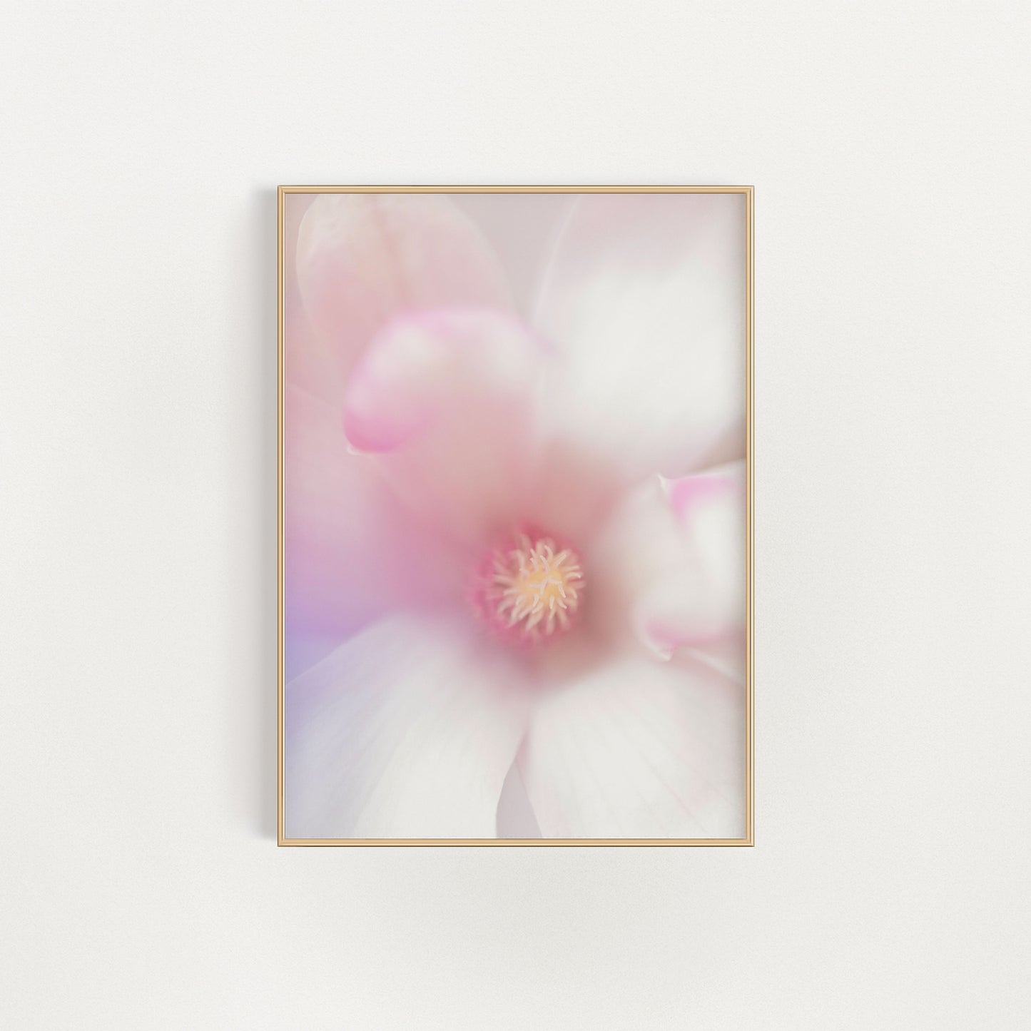 Magnolia Day