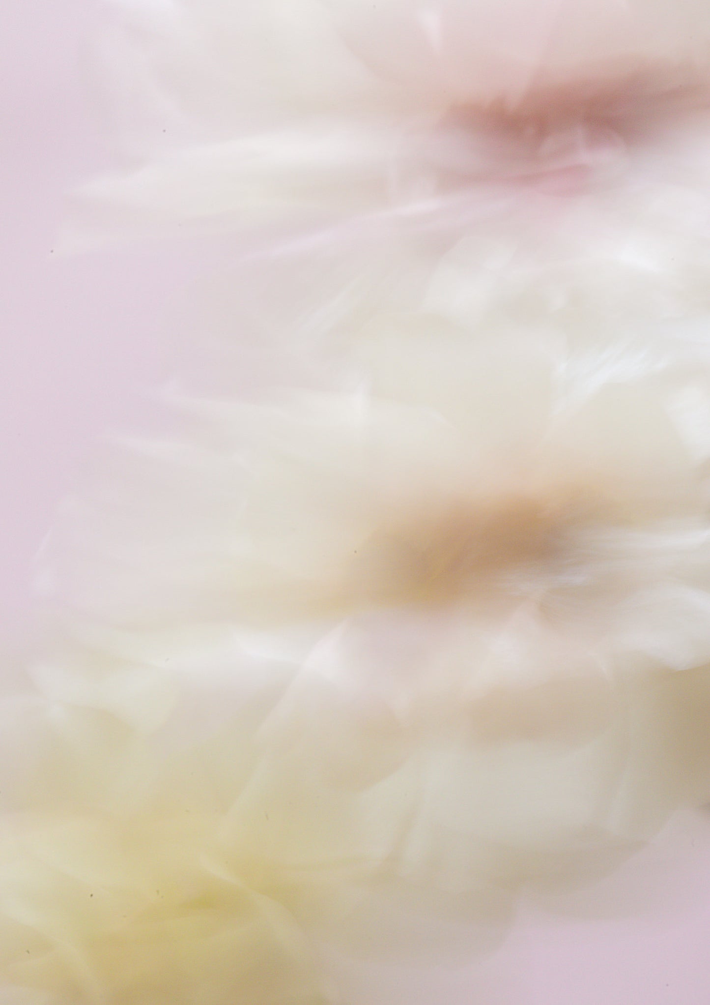 Aurora Florealis No.03