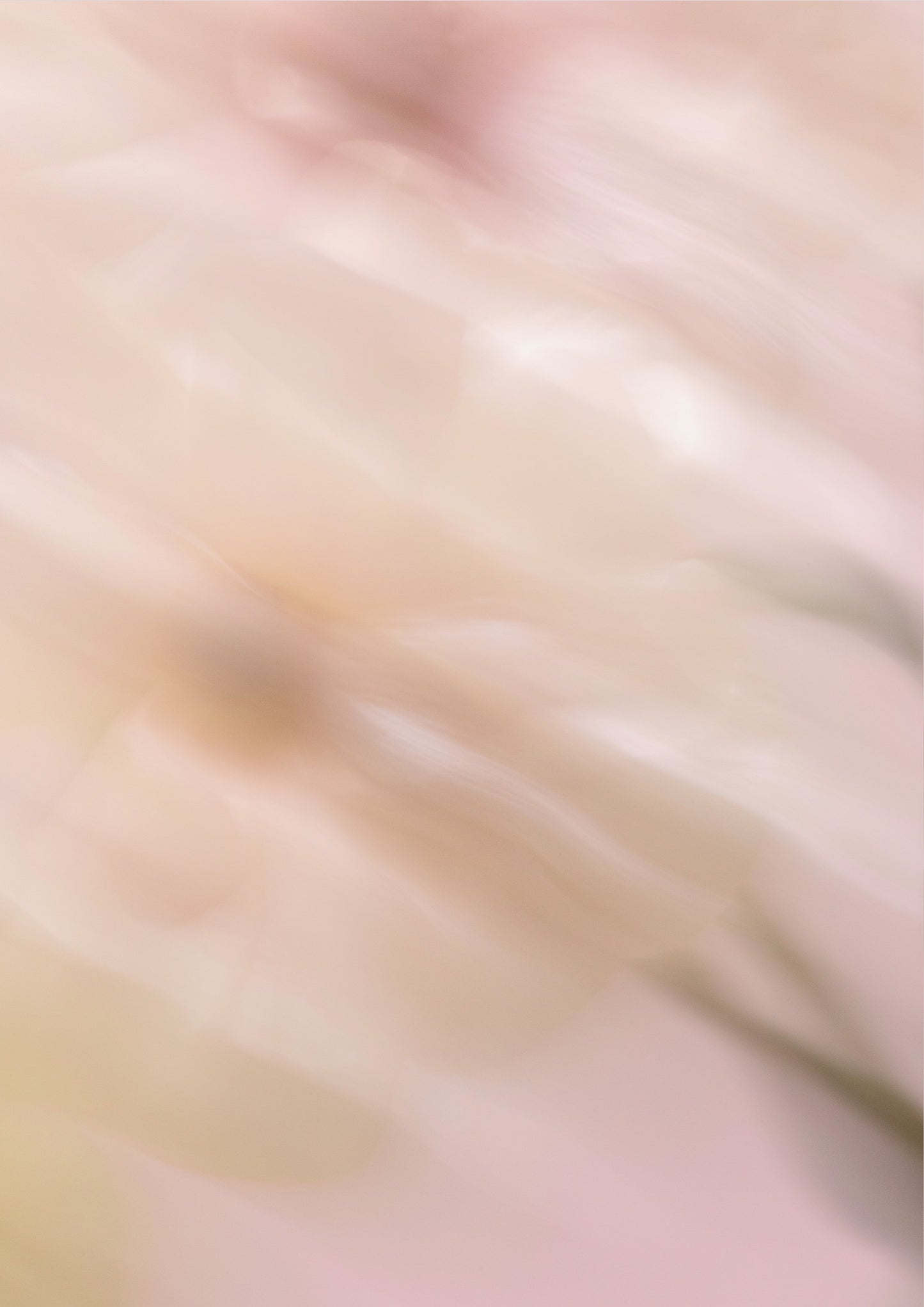 Aurora Florealis No.05