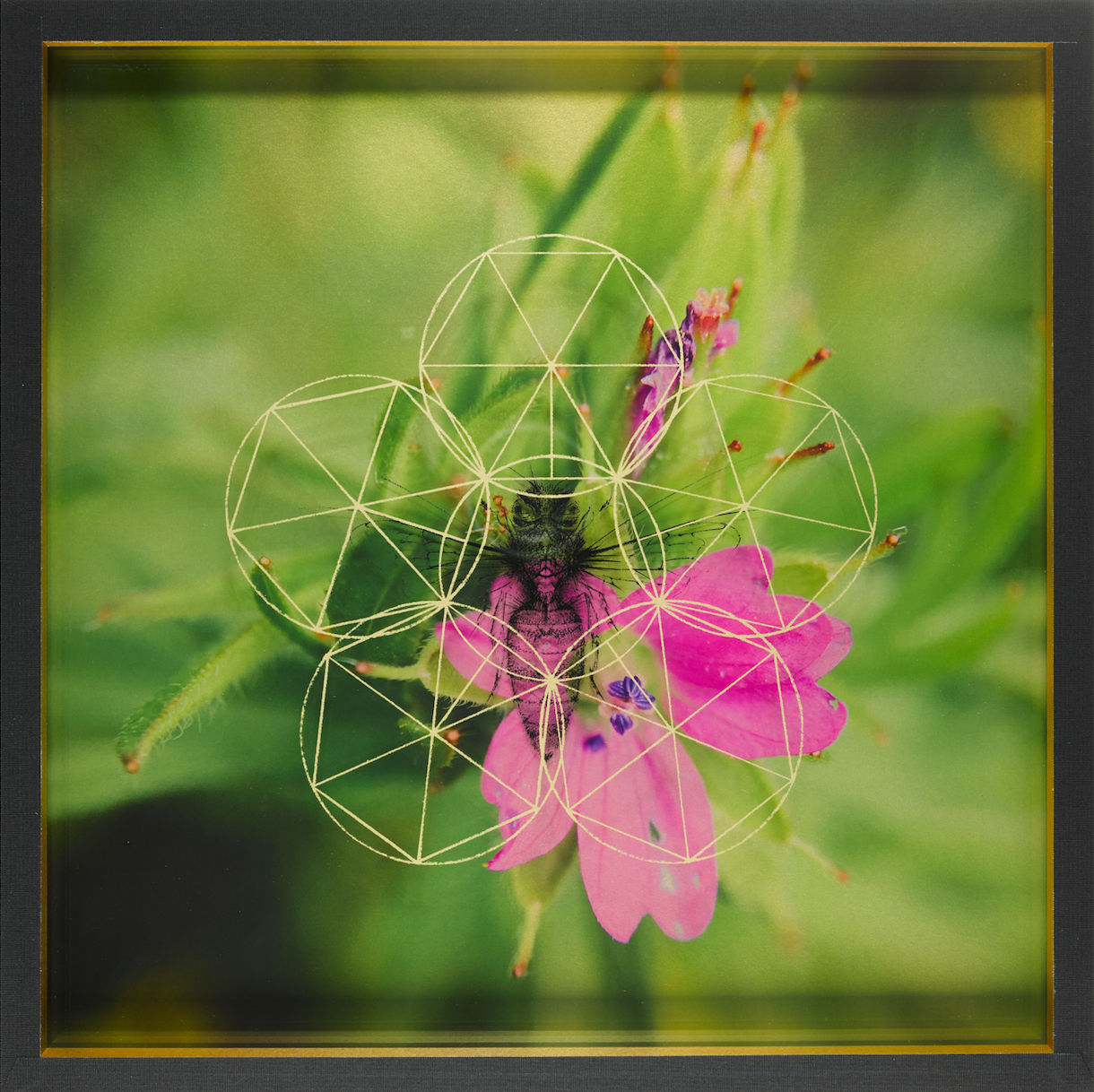 Honeybee Treasure Box