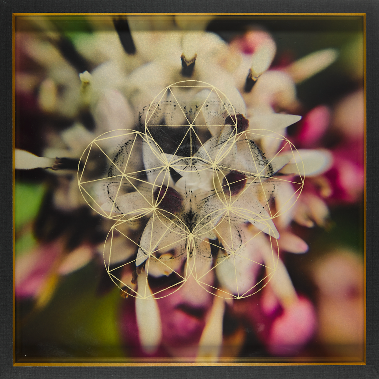 Butterfly Treasure Box