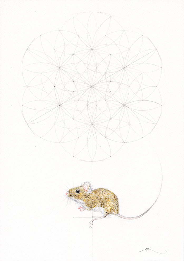 Mouse