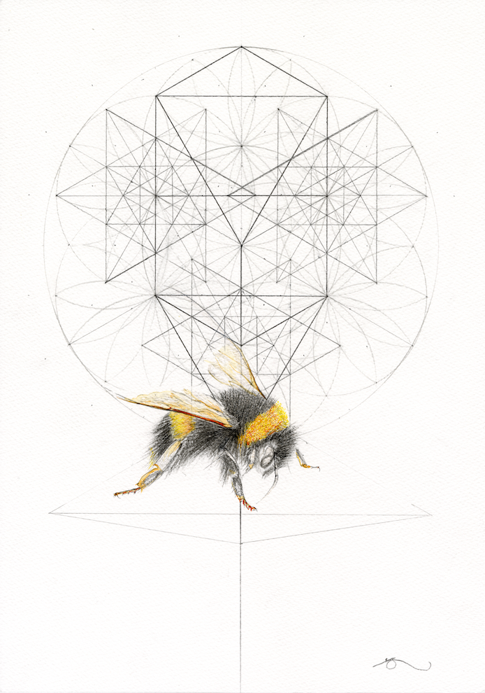Bumblebee