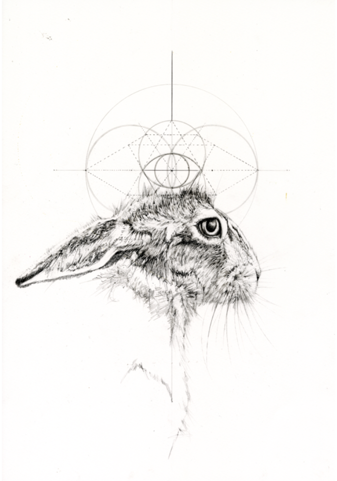 Eye Of The Hare