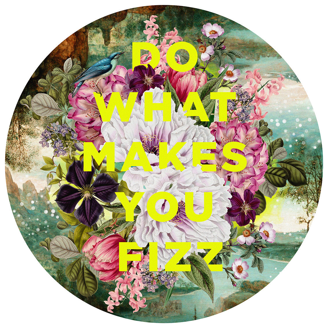 Do What Makes you Fizz