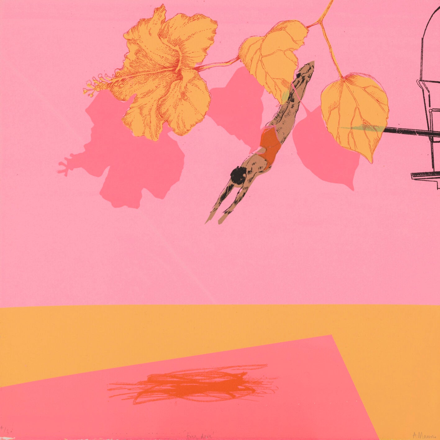 Free Dive