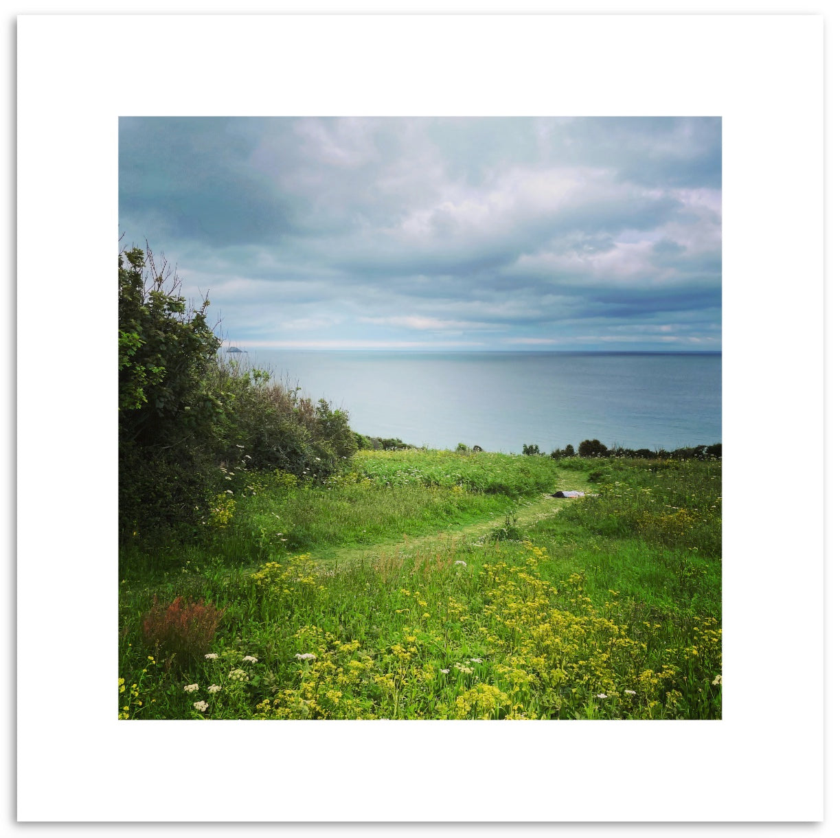 STEFDIES in Cornwall