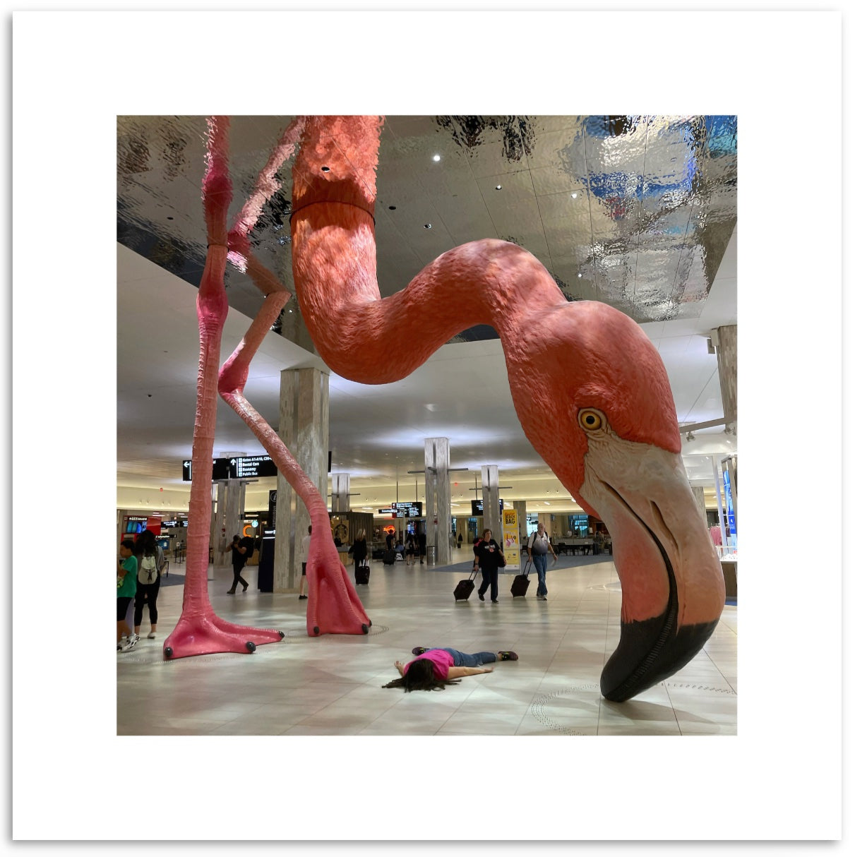 STEFDIES with Giant Flamingo (Tampa)