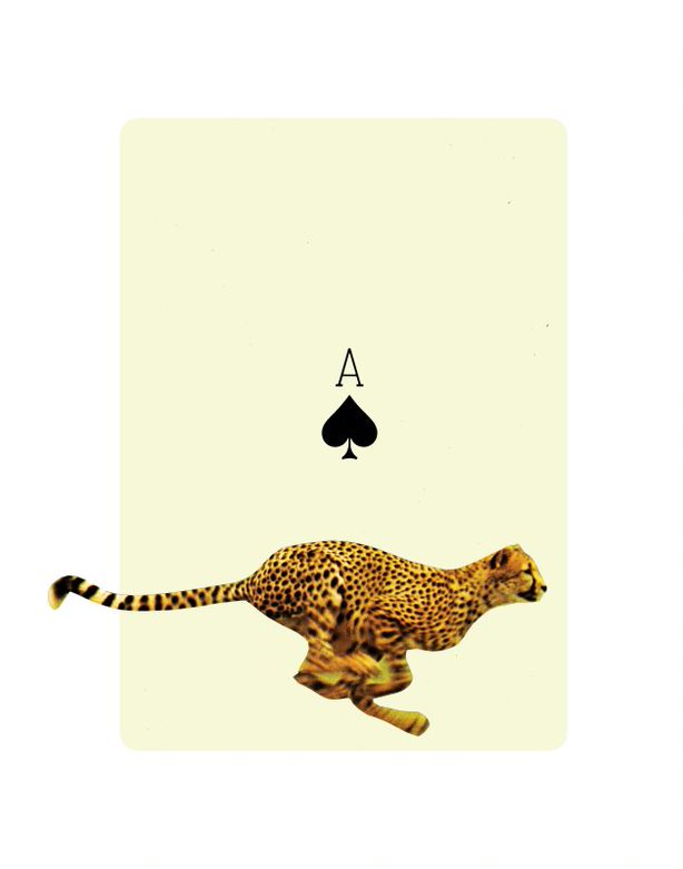 Ace