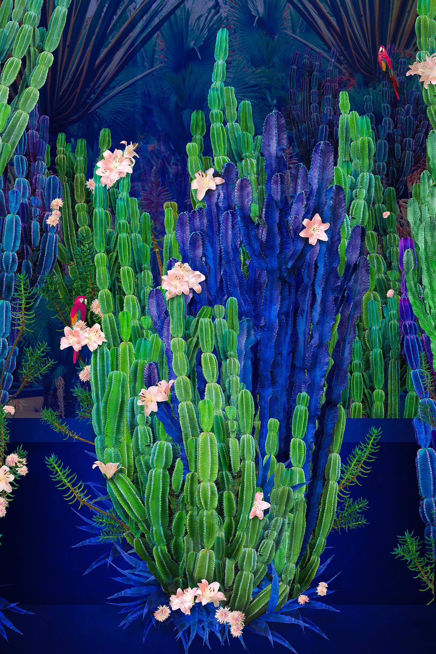 Cactus Garden