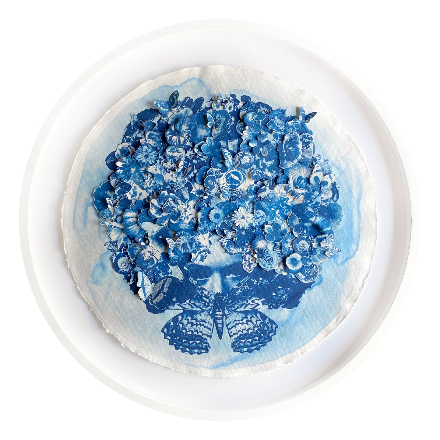 In The Pursuit Of Knowledge (Ode To Maria Merian)