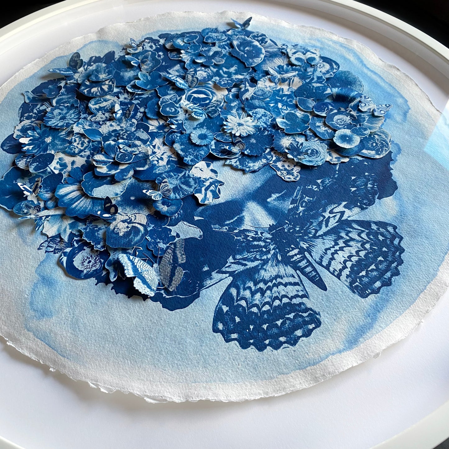 In The Pursuit Of Knowledge (Ode To Maria Merian)