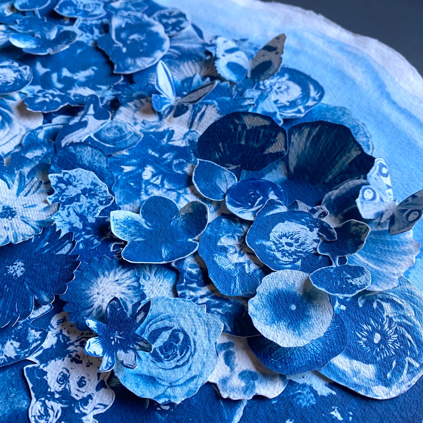 In The Pursuit Of Knowledge (Ode To Maria Merian)