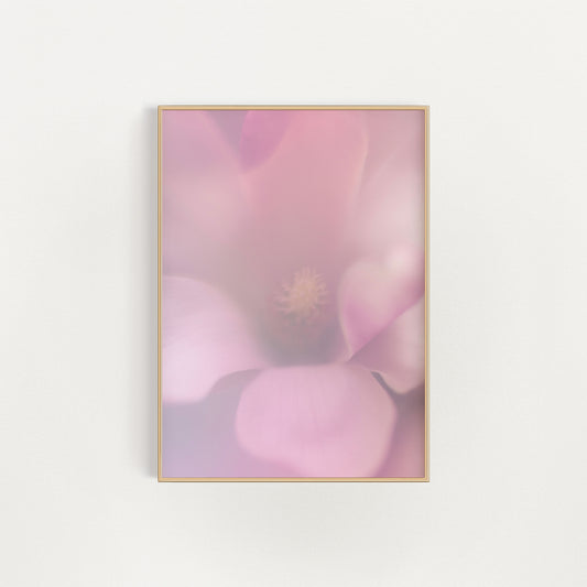 Magnolia Night