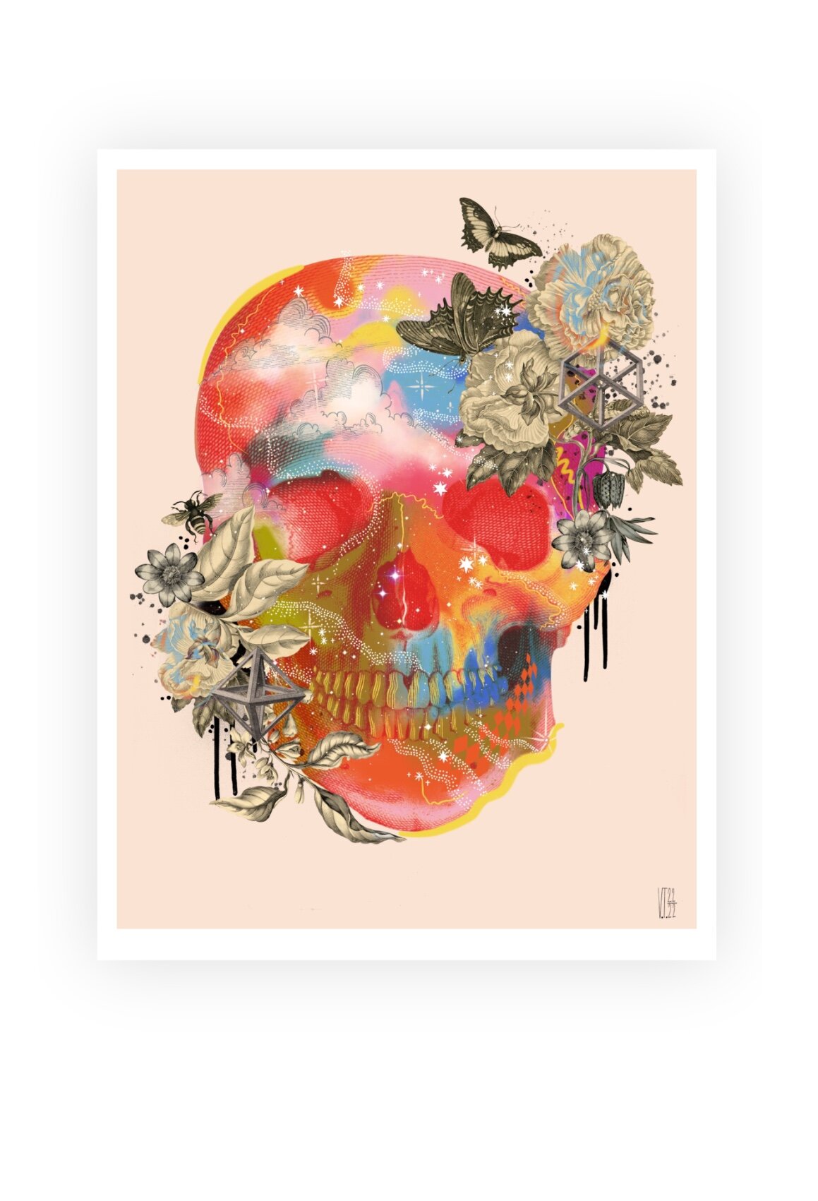 Celestial Skull