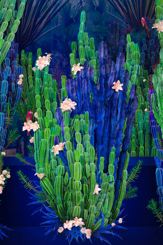 Cactus Garden
